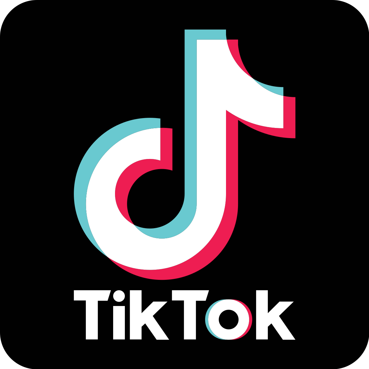 TikTok guidance